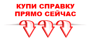 справка в Санкт-Петербурге